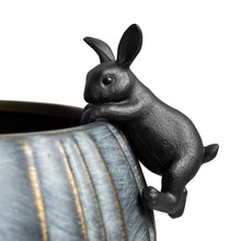 Rabbit Hanging off Rim - Matt Black