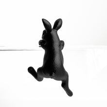 Rabbit Hanging off Rim - Matt Black