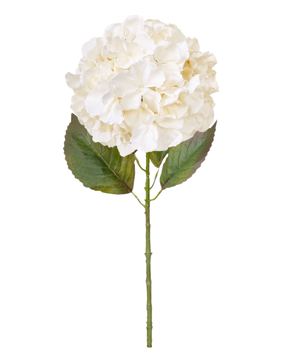 Large Ball Hydrangea – Linen
