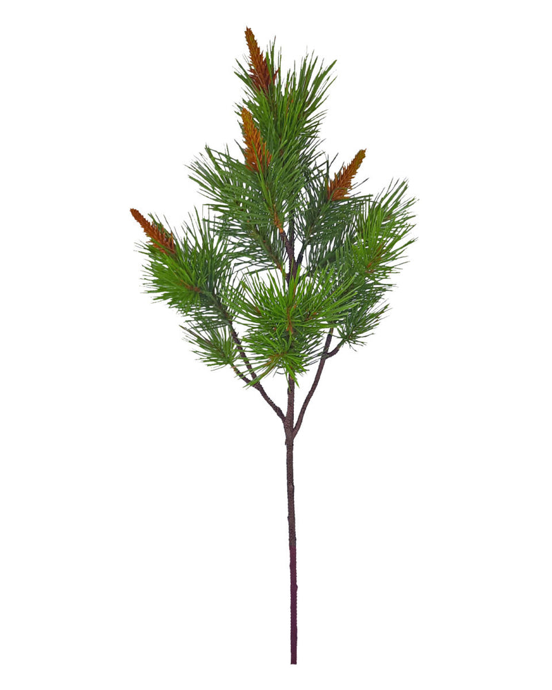 Large Budding Pinecone Branch – Green/Brown