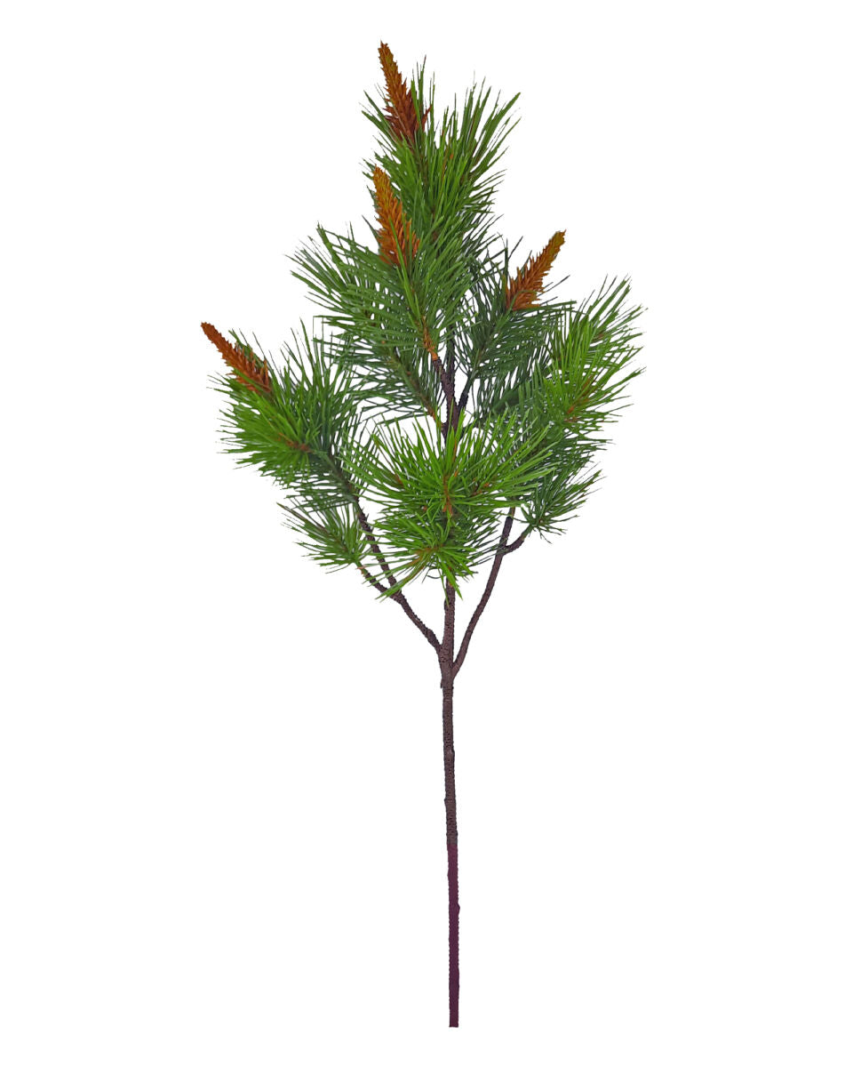 Large Budding Pinecone Branch – Green/Brown