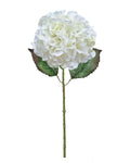 Large Ball Hydrangea – White