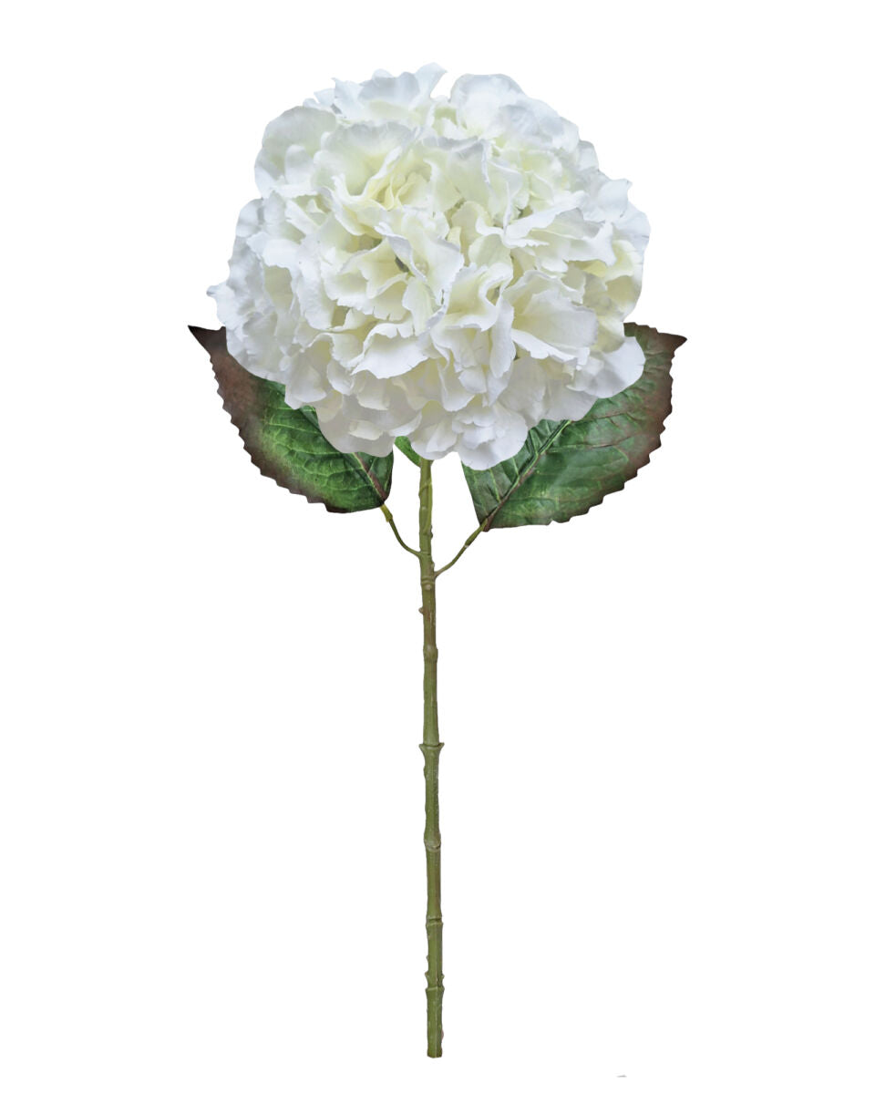 Large Ball Hydrangea – White