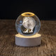 Kiwi LED Globe LED103