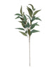 Large Pointed Gum Foliage