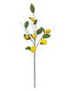 Lemon Sprig – Yellow