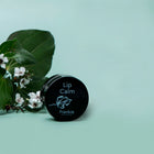 Frankie - Lip Calm Balm