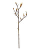 Magnolia Bud Branch – White