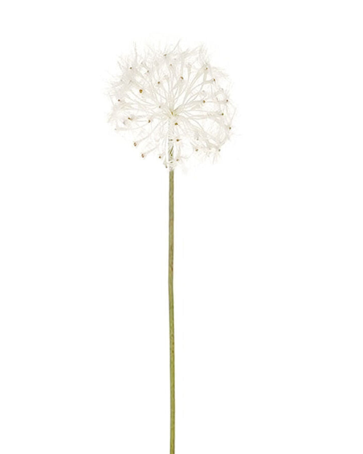 Medium Dandelion