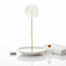 Medium Dandelion