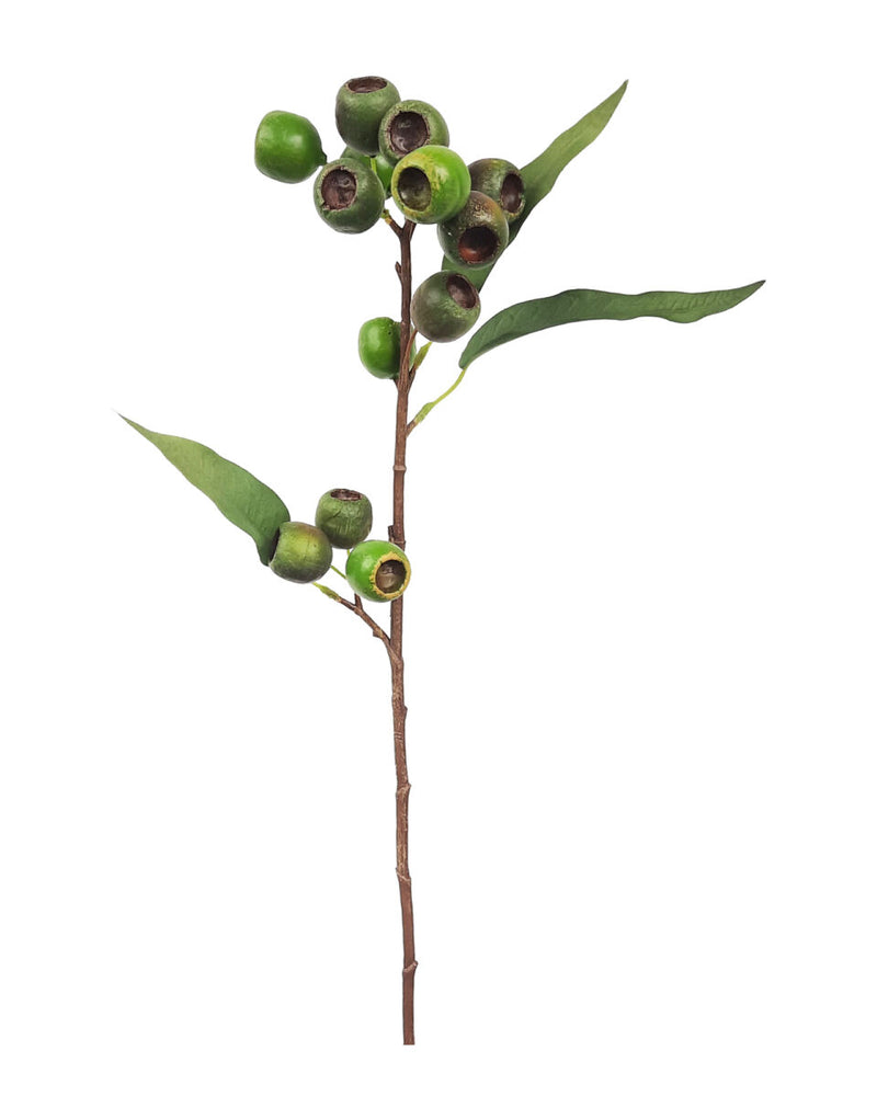 Medium Native Gum Nut – Green