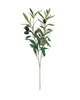 Olive Branch 50cm