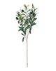 Olive Branch 70cm