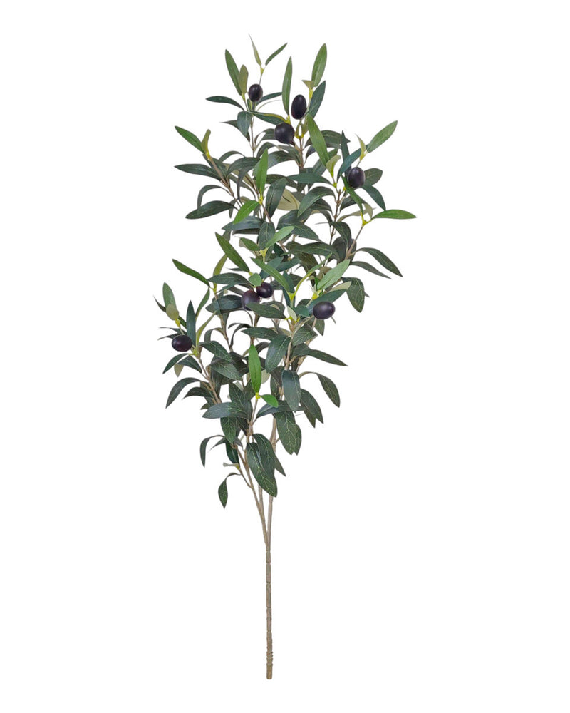 Olive Branch 80cm