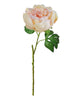 Opening Peony – Shell
