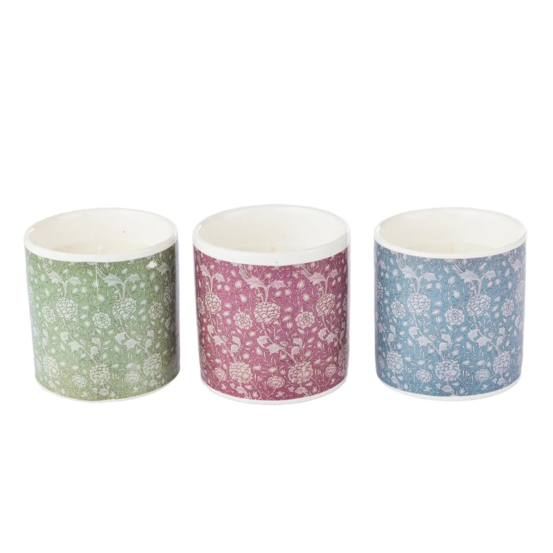 3 Pack Citronella Multicolour Candles