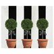 Manor Road Topiary or Magnolia Placemats - 31x38cm x 30 Pages