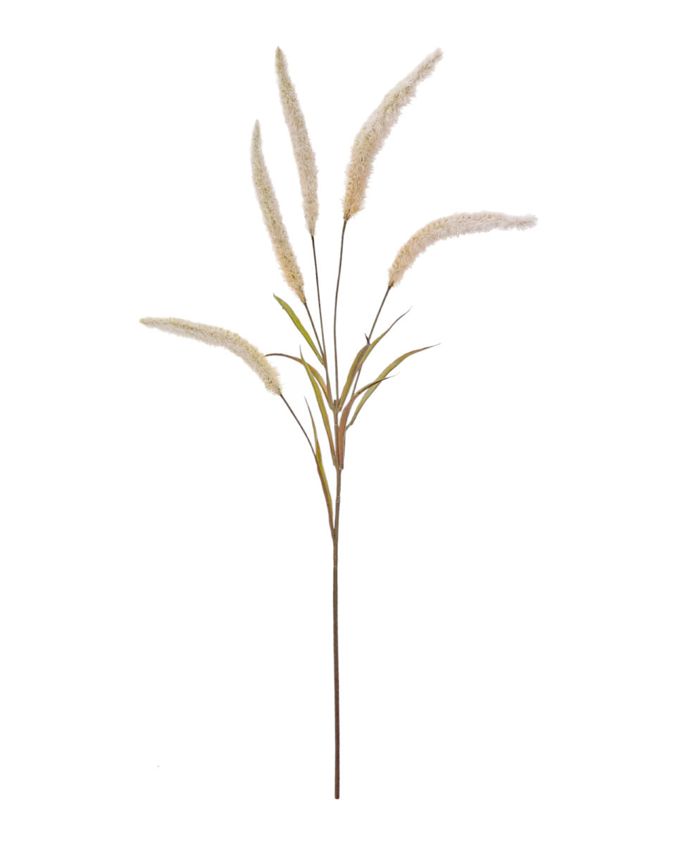 Flowering Pearl Grass – Pink/Brown 75cm