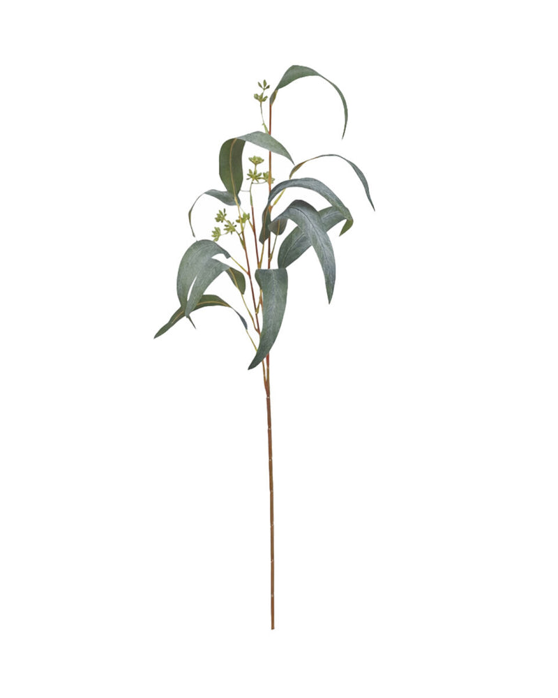 Pointed Gum Foliage Pick – Green