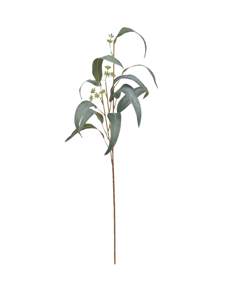 Pointed Gum Foliage Pick – Green