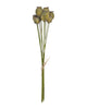 Poppy Pod Bunch – Green