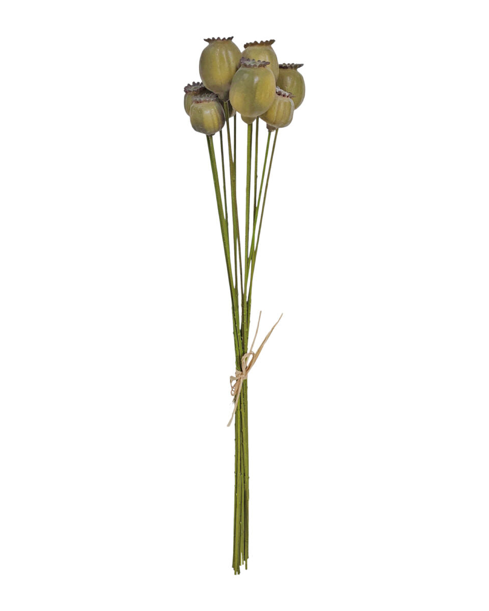 Poppy Pod Bunch – Green