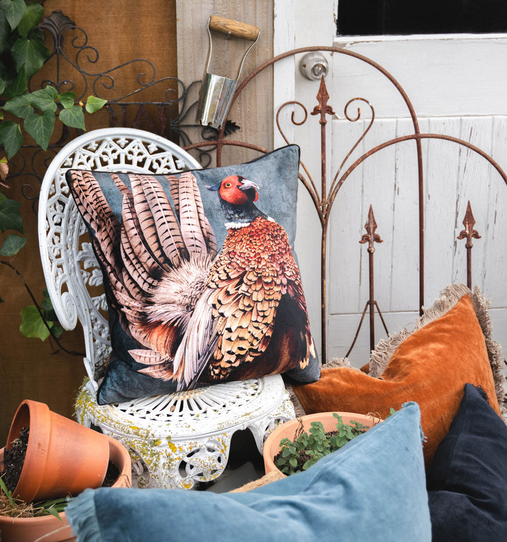 Phil The Pheasant Cushion Cover