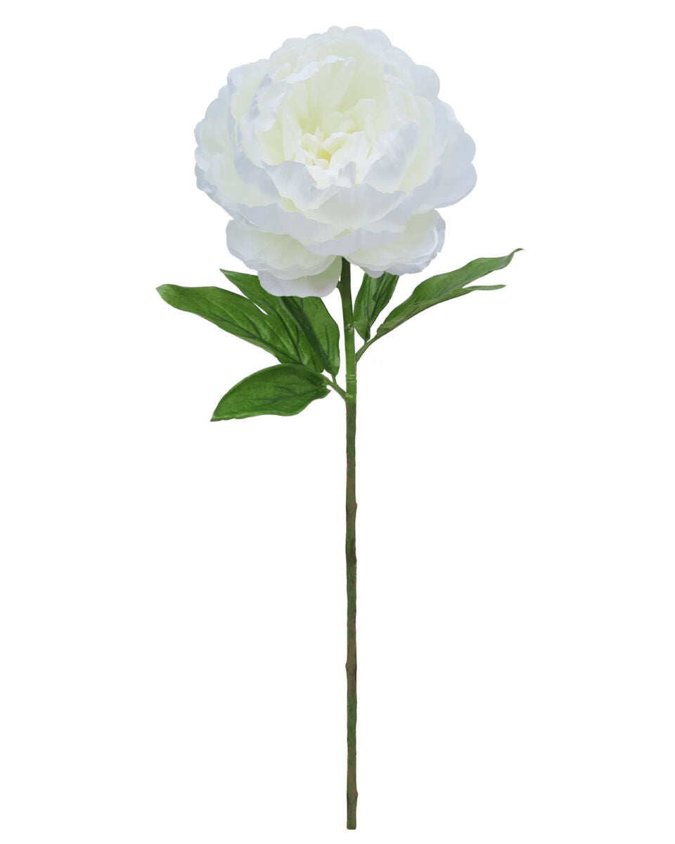 Royal Peony – White 66cm