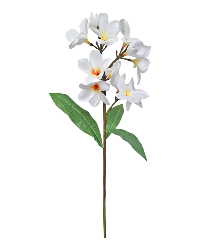 Real Touch Frangipani Spray – White