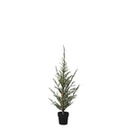 Sirius Mila Cedar Tree 1.3m
