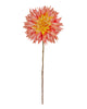 Large Summer Dahlia – Sunset
