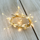 1.2m Gold Garland Seed Light