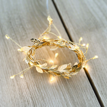 1.2m Gold Garland Seed Light