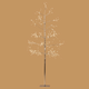 Silver Arctic Birch Seed Light Trees