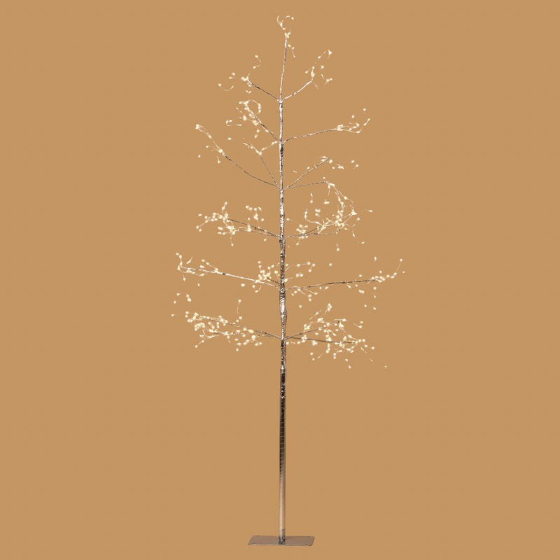 Silver Arctic Birch Seed Light Trees