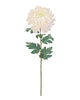 Mum Spray – Cream