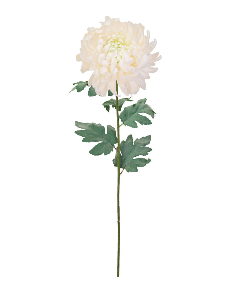 Mum Spray – Cream