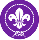 Glendowie /St Heliers Scouts - Christmas Christmas Raffle Ticket - $5 each