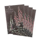 Secret Garden 10g 4pk Sandalwood Scented Sachet