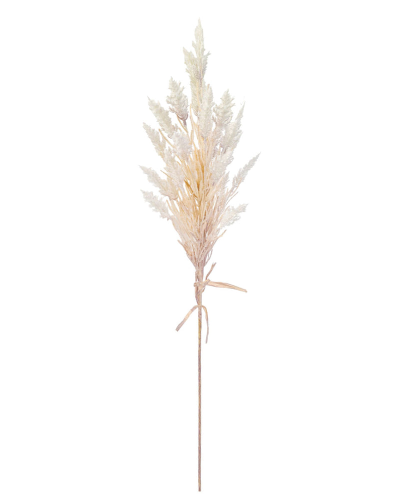 Tall Toi Toi – Natural