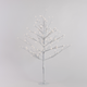 White Twig Trees