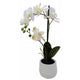 2 Spray White Orchid - Real Touch in Stone Pot - 48cm