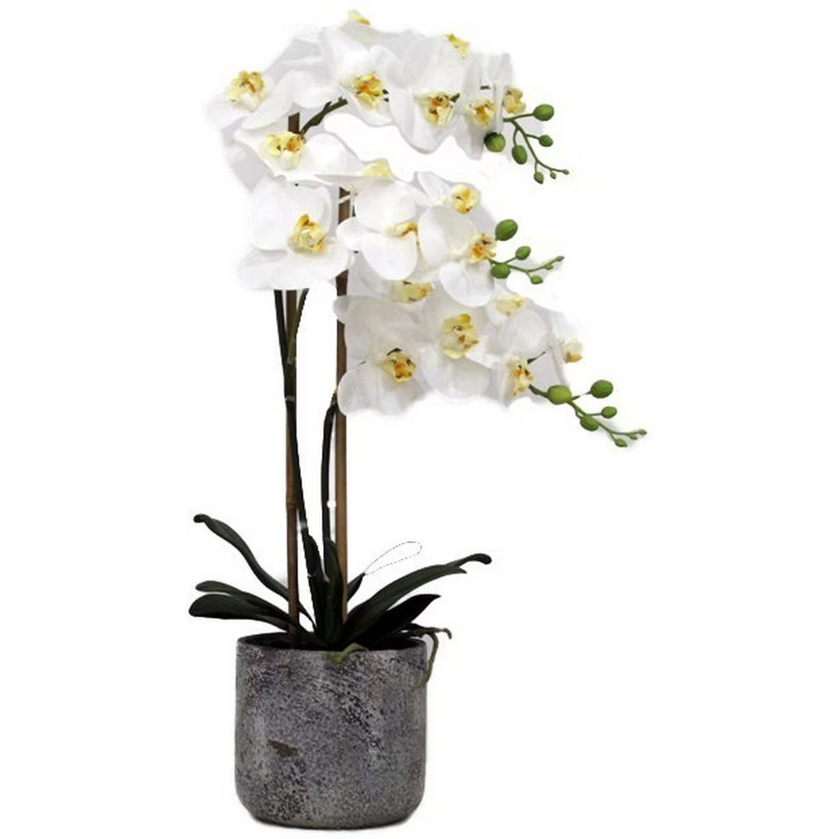 3 Spray White Orchid - Real Touch in Stone Pot - 63cm tall
