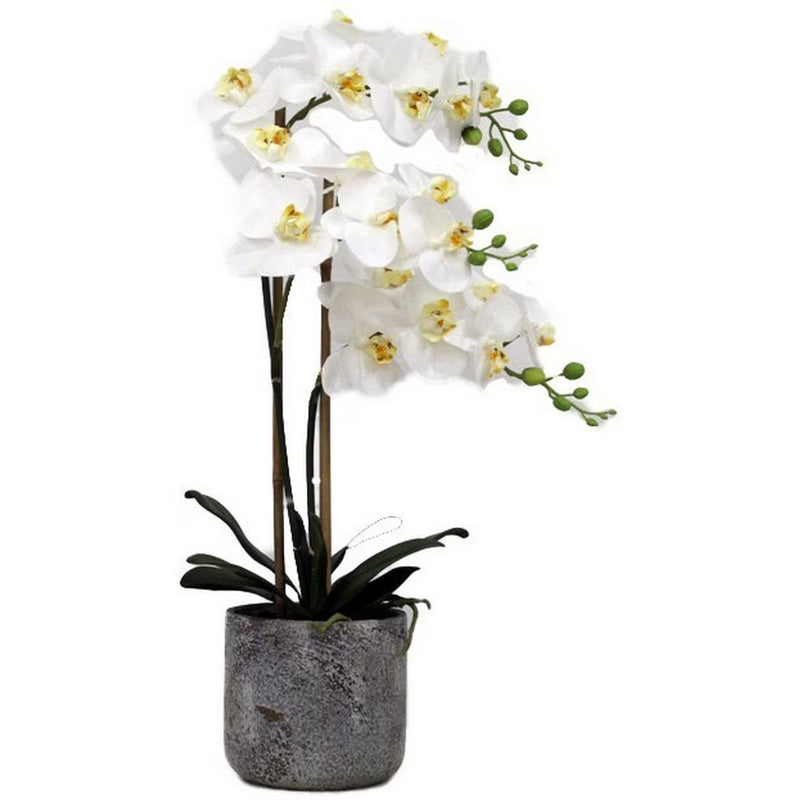 3 Spray White Orchid - Real Touch in Stone Pot - 63cm tall