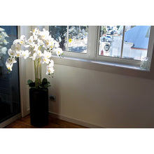 5 Spray White Orchid - Real Touch in Tall Black Pot - 105cm