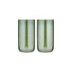 Verity Fern 2Pk Highball Tumbler