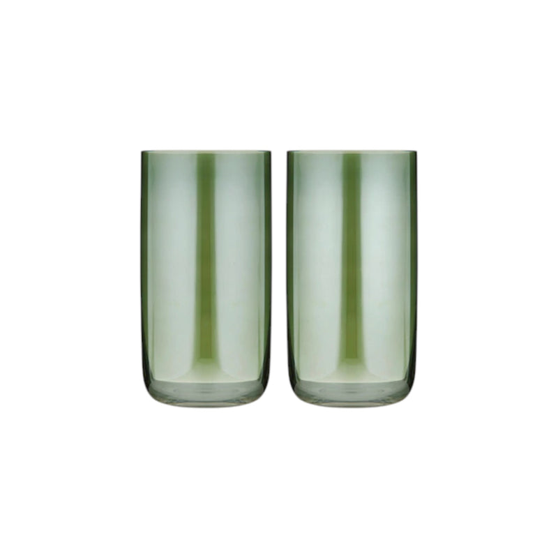 Verity Fern 2Pk Highball Tumbler