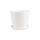 Frankly Cotton White Ribbed Ceramic Planter