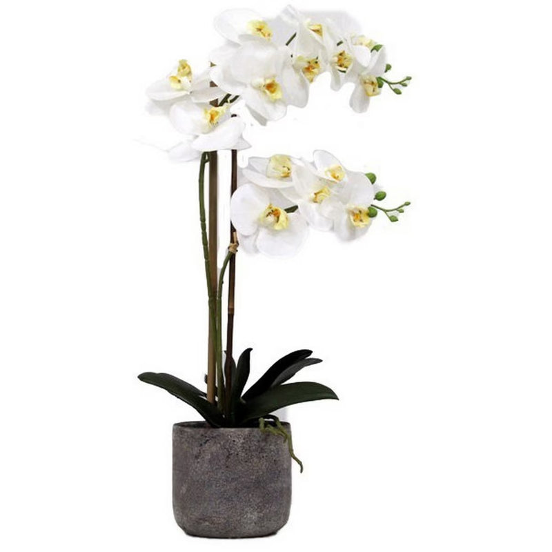 2 Spray White Orchid - Real Touch in Stone Pot - 56cm