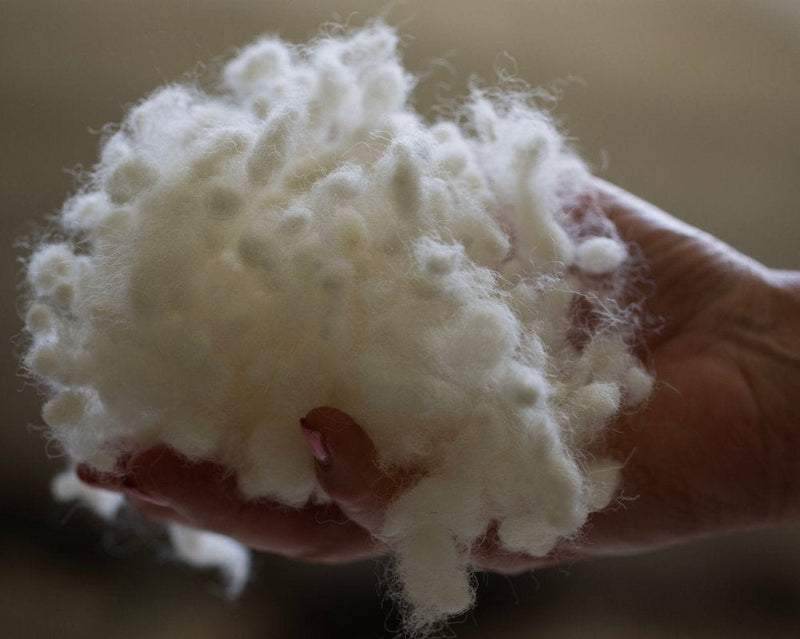 Wisewool™ Cushion Inners
